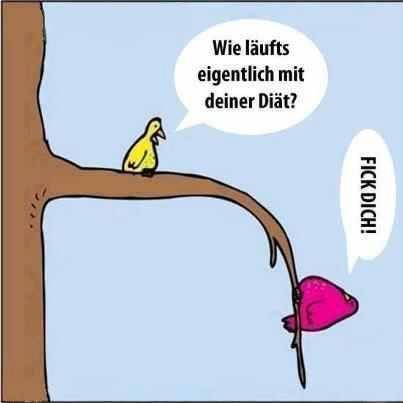 Was ist eigentlich mit deinem Blog?!